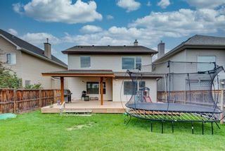 Photo 43: 572 Cougar Ridge Drive SW in Calgary: Cougar Ridge Detached for sale : MLS®# A1143842