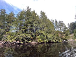 Photo 20: DL 1092 Clayoquot Island in Ucluelet: PA Ucluelet Land for sale (Port Alberni)  : MLS®# 861692