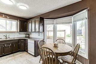 Photo 17: 49 Beaconsfield Crescent NW in Calgary: Beddington Heights Semi Detached for sale : MLS®# A1223613