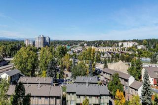 Photo 34: 1203 4944 Dalton Drive NW in Calgary: Dalhousie Apartment for sale : MLS®# A2022188