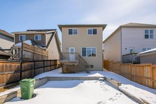 Photo 28: 252 Copperstone Gardens SE in Calgary: Copperfield Detached for sale : MLS®# A2036163