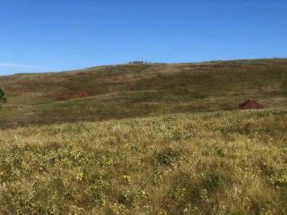 Photo 15: 306 Avenue W: Rural Foothills County Residential Land for sale : MLS®# A2084312
