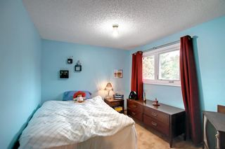 Photo 30: 260 Woodridge Drive SW in Calgary: Woodlands Detached for sale : MLS®# A1253815