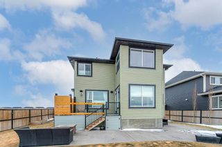 Photo 37: 197 Rainbow Falls Heath: Chestermere Detached for sale : MLS®# A1062288
