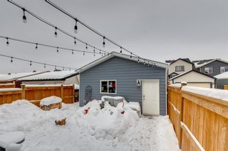 Photo 37: 253 Masters Crescent SE in Calgary: Mahogany Detached for sale : MLS®# A2033641