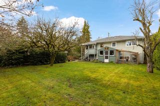 Photo 32: 12590 56 Avenue in Surrey: Panorama Ridge House for sale : MLS®# R2863556