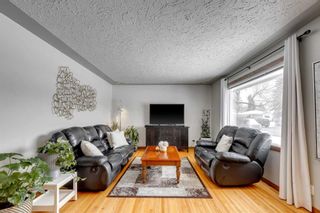 Photo 4: 2533 Sable Drive SE in Calgary: Southview Detached for sale : MLS®# A2120099