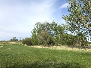 Photo 9: Range Road 264: Rural Wheatland County Residential Land for sale : MLS®# A2108486