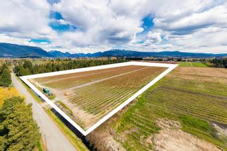 Photo 6: 14150 RIPPINGTON Road in Pitt Meadows: North Meadows PI Agri-Business for sale : MLS®# C8043767