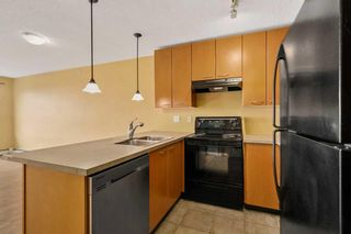 Photo 8: 415 5115 Richard Road SW in Calgary: Lincoln Park Apartment for sale : MLS®# A2127940