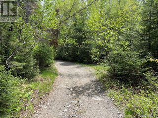Photo 47: - Canoose Stream Road in Canoose: Vacant Land for sale : MLS®# NB073754