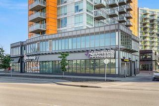 Photo 21: 202 3830 Brentwood Road NW in Calgary: Brentwood Apartment for sale : MLS®# A2122268
