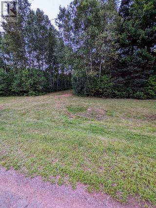 Photo 7: Acreage Conway Road in Conway: Vacant Land for sale : MLS®# 202316886