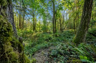 Photo 17: Lot 1 Telegraph Rd in Cobble Hill: ML Cobble Hill Land for sale (Malahat & Area)  : MLS®# 956650