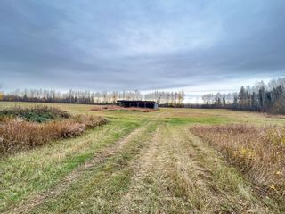Photo 4: 3149 Highway 97 in Dawson Creek Rural: Land for sale (Dawson Creek) 