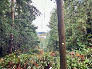 Photo 18: 1309 Gorge Harbour Rd in Cortes Island: Isl Cortes Island Land for sale (Islands)  : MLS®# 948694