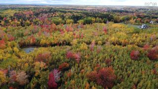 Photo 4: Lot 7 Powell Road in Little Harbour: 108-Rural Pictou County Vacant Land for sale (Northern Region)  : MLS®# 202127277