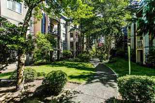 Photo 13: 314 2615 JANE Street in Port Coquitlam: Central Pt Coquitlam Condo for sale in "BURLEIGH GREEN" : MLS®# R2174335