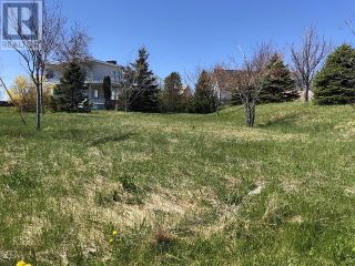 Photo 5: 65 Ohio Drive in Stephenville: Vacant Land for sale : MLS®# 1234009