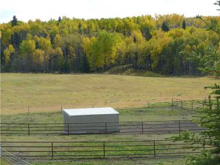 Photo 6: 43141 TWP RD 283 in COCHRANE: Rural Rocky View MD Residential Detached Single Family for sale : MLS®# C3506968