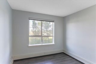 Photo 14: 315 35 RICHARD Court SW in Calgary: Lincoln Park Apartment for sale : MLS®# C4188098
