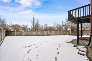Photo 43: 51 Auburn Bay Place SE in Calgary: Auburn Bay Detached for sale : MLS®# A2127476