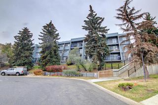 Main Photo: 5208 27 Grier Place NE in Calgary: Greenview Apartment for sale : MLS®# A2006443