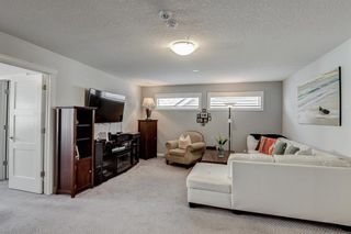 Photo 16: 25 Nolanhurst Crescent NW in Calgary: Nolan Hill Detached for sale : MLS®# A1221820