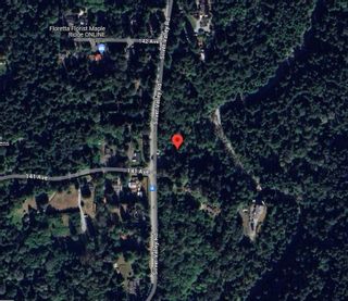 Photo 31: 14136 SILVER VALLEY Road in Maple Ridge: Silver Valley House for sale in "Silver Valley" : MLS®# R2875375