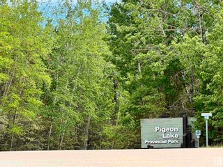 Photo 11: 47 15025 Twp Rd 470: Rural Wetaskiwin County Vacant Lot/Land for sale : MLS®# E4391444