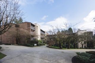 Photo 31: 509 9867 MANCHESTER Drive in Burnaby: Cariboo Condo for sale in "BARCLAY WOODS" (Burnaby North)  : MLS®# R2865204