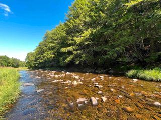 Photo 6: West River Station Road in Salt Springs: 108-Rural Pictou County Vacant Land for sale (Northern Region)  : MLS®# 202220521