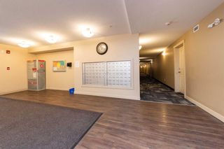 Photo 20: 305 7130 80 Avenue NE in Calgary: Saddle Ridge Apartment for sale : MLS®# A2140610