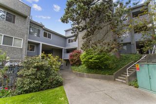 Photo 4: 439 3364 MARQUETTE Crescent in Vancouver: Champlain Heights Condo for sale (Vancouver East)  : MLS®# R2696792