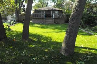 Photo 8: 59 Poplar Road in Toronto: Guildwood Freehold for sale (Toronto E08) 