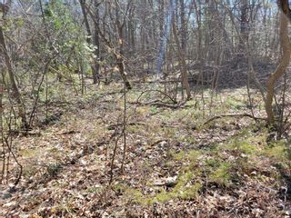 Photo 3: 16 Giant's Tomb Island in Tiny: Rural Tiny Property for sale : MLS®# S6002747