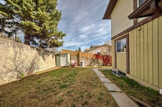 Photo 31: 42 Dalhousie Crescent NW in Calgary: Dalhousie Semi Detached (Half Duplex) for sale : MLS®# A2130922