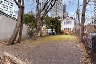 Photo 34: 57 Soudan Avenue in Toronto: Mount Pleasant West House (2-Storey) for sale (Toronto C10)  : MLS®# C8035016