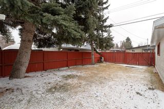 Photo 20: 4303 46 Avenue SW in Calgary: Glamorgan Detached for sale : MLS®# A1197587