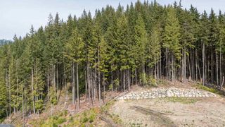 Photo 6: 1421 CRYSTAL CREEK Drive: Anmore Land for sale in "CRYSTAL CREEK" (Port Moody)  : MLS®# R2466977