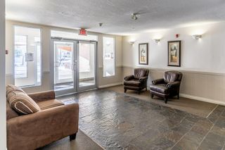 Photo 32: 202 8 Hemlock Crescent SW in Calgary: Spruce Cliff Apartment for sale : MLS®# A2014610