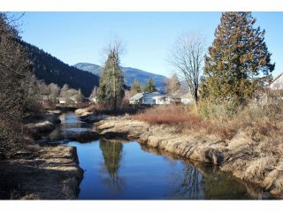 Photo 17: 462 NAISMITH Avenue: Harrison Hot Springs House for sale : MLS®# H1400361