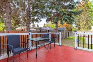 Photo 35: 5311 Brisebois Drive NW in Calgary: Brentwood Detached for sale : MLS®# A2050440