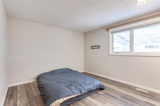 Photo 15: 119 Doverthorn Bay SE in Calgary: Dover Detached for sale : MLS®# A2048254