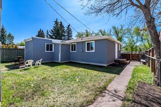 Photo 21: 8628 46 Avenue NW in Calgary: Bowness Detached for sale : MLS®# A2047718
