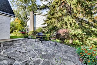 Photo 47: 207 Cunningham Avenue in Ottawa: Applewood Acres House for sale (Alta Vista)  : MLS®# 1173151