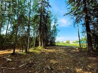 Photo 14: 931 Wolf Trail in Sandy Lake: Vacant Land for sale : MLS®# A2063552