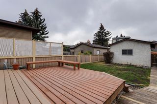Photo 33: 3915 45 Street SW in Calgary: Glamorgan Detached for sale : MLS®# A2008201