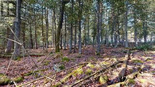 Photo 14: 5 Sandy Point in Manitowaning: Vacant Land for sale : MLS®# 2112426