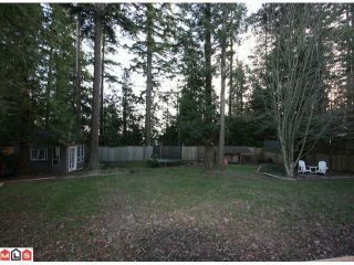 Photo 10: 13262 AMBLE GREENE Court in Surrey: Crescent Bch Ocean Pk. House for sale in "Amble Greene" (South Surrey White Rock)  : MLS®# F1106317